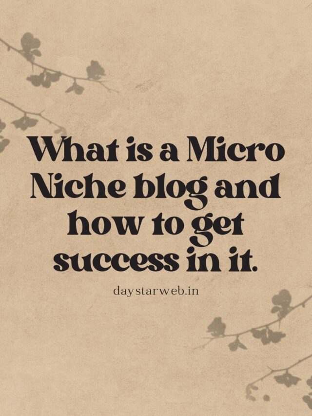 Micro Niche Kya hota hai