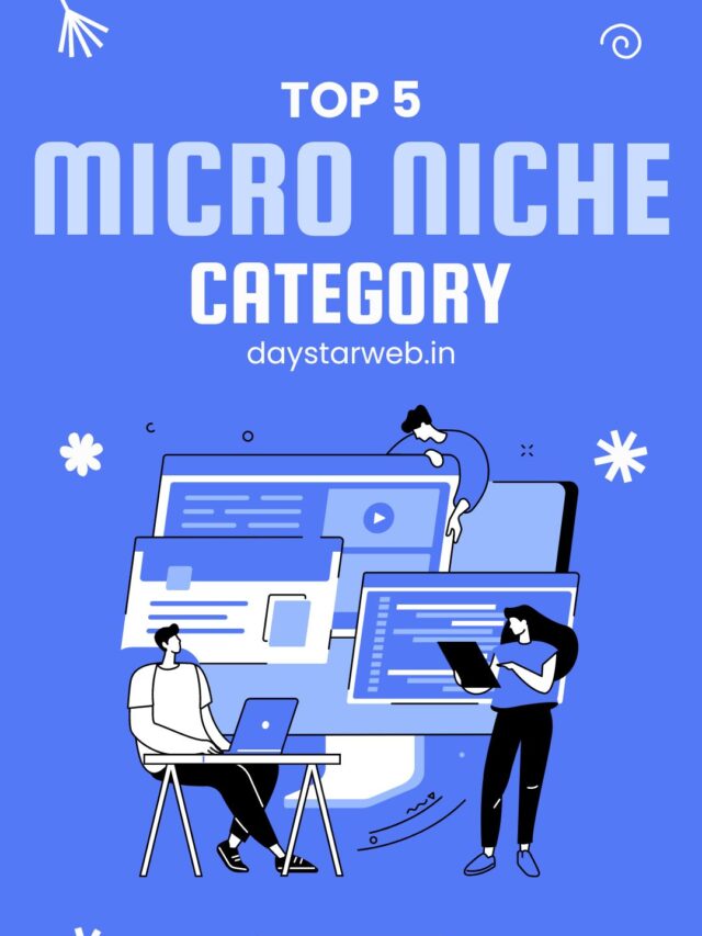 Top 5 Micro Niche Category